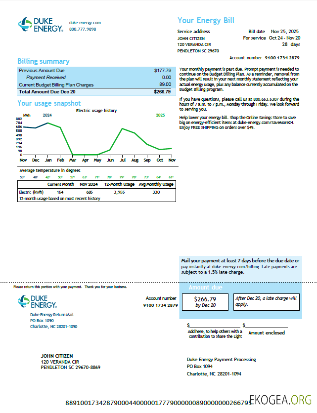 USA Duke Energy utility bill template in Word and PDF formats, version 6